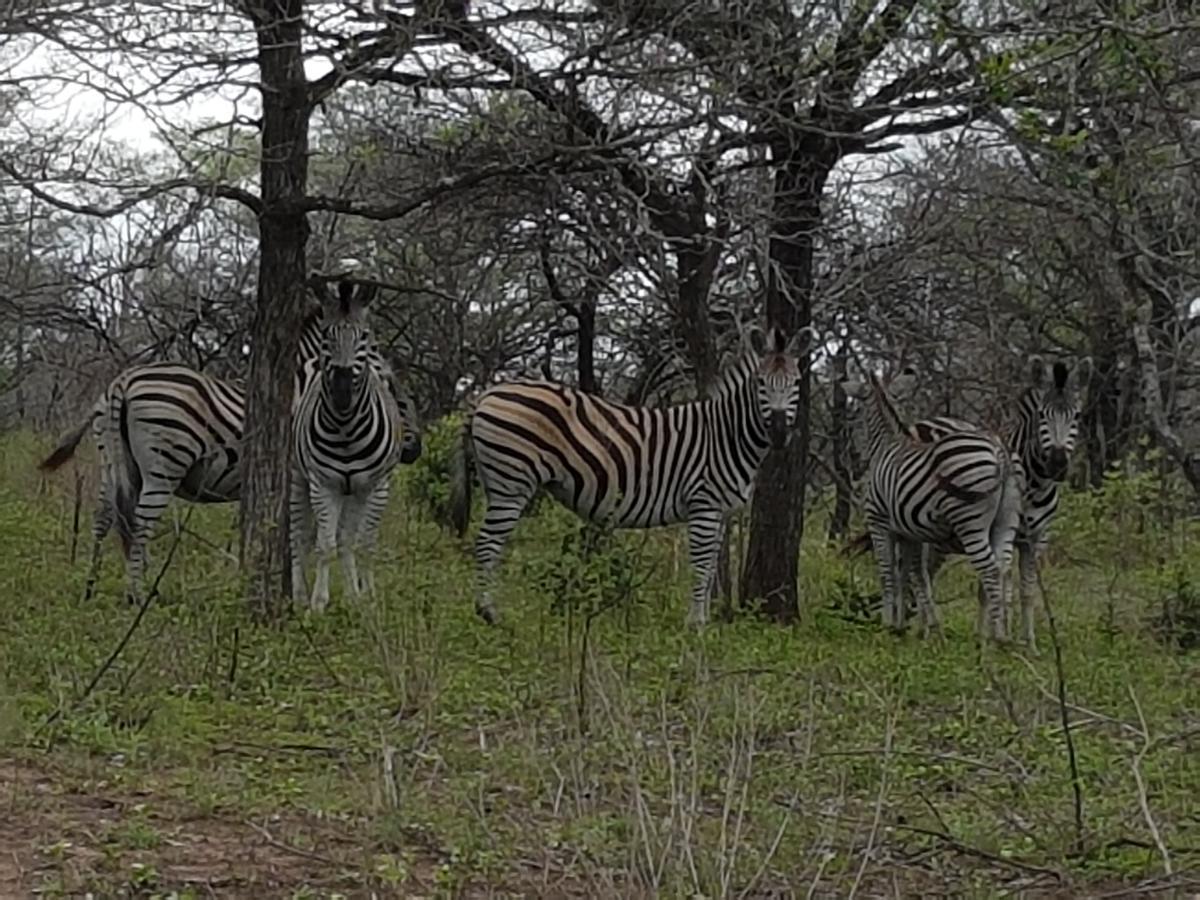 Unyati Safari Lodge Hectorspruit Exterior photo