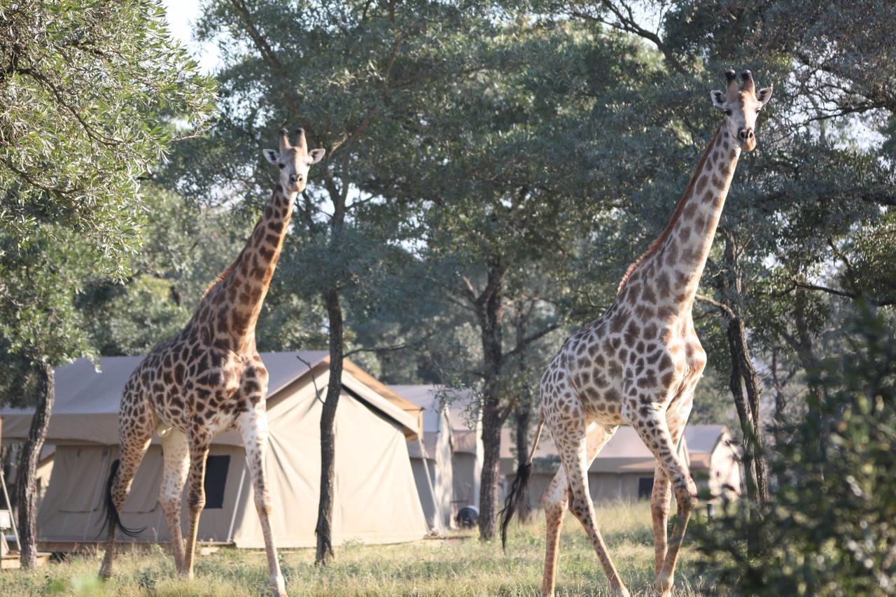 Unyati Safari Lodge Hectorspruit Exterior photo